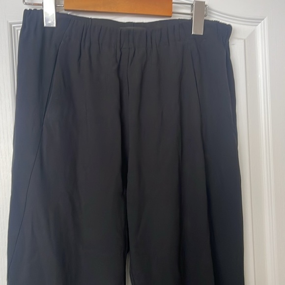 Aritzia Babaton Black Dexter Pants - Picture 4 of 9